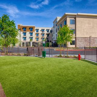 A landscaped area with a grassy lawn and trees in front of a modern building on a sunny day.