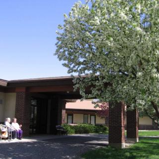 A group of people sitting outside a building under a blooming tree.