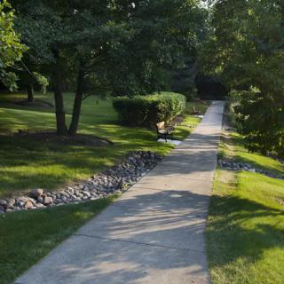 A serene park pathway surrounded by lush greenery and trees.