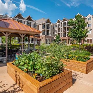 A community garden with raised beds and a gazebo in an urban residential area.