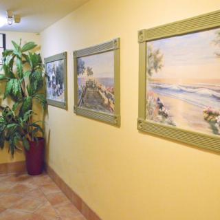 A hallway with yellow walls adorned with framed paintings and a potted indoor plant.