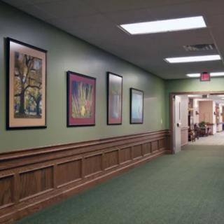 A well-lit hallway with green walls and framed artwork displayed along one side.