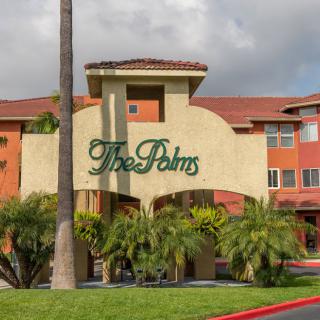 The Palms