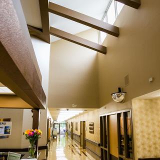 A well-lit hallway with modern architectural design and decorative flowers.