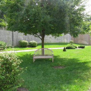 A tranquil garden scene with a bench under a tree surrounded by lush grass and a wooden fence.
