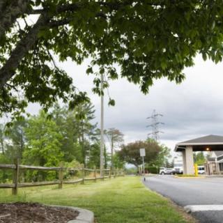 A scenic view of a parking lot with trees, grass, and a building under an overcast sky.