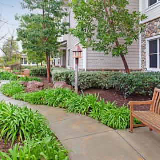 A landscaped garden with a paved walkway and wooden benches surrounded by lush greenery.