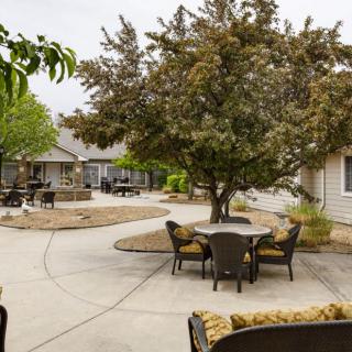 A serene outdoor patio area with trees and comfortable seating arrangements.