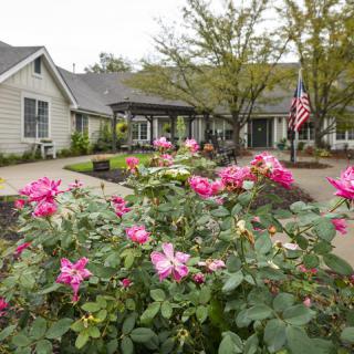 A garden with blooming pink roses in front of residential buildings, with trees and an American flag in the background.