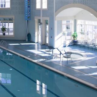A sunny indoor swimming pool with large windows and natural light.