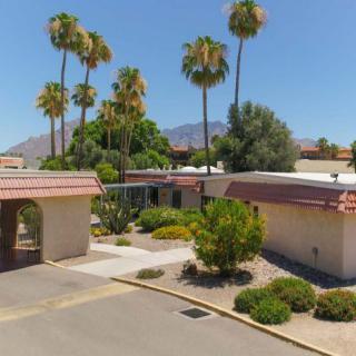 A suburban residential area with desert landscaping and palm trees under a clear blue sky.
