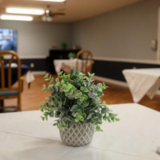 A cozy dining area featuring a decorative plant on a table, with chairs in the background.