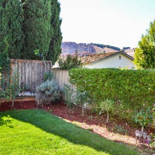 A well-maintained backyard with green grass, hedges, and trees, enclosed by a wooden fence.