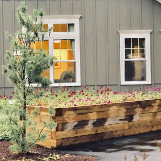 A quaint house with a large wooden planter box filled with flowers, accompanied by a small tree.
