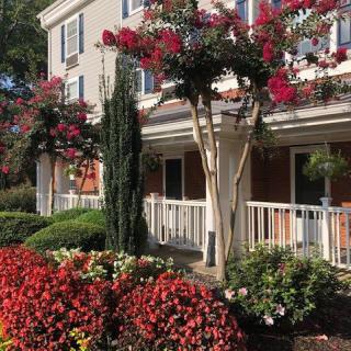 A beautiful garden with vibrant flowers and well-maintained landscaping in front of a residential building.