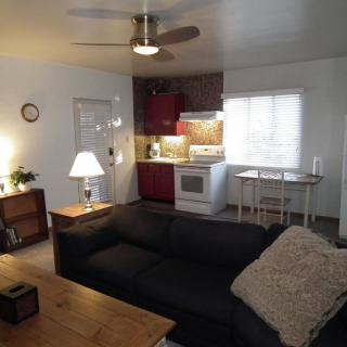 A cozy living room with an open kitchen layout featuring a black sofa, wooden furniture, and a modern ceiling fan.