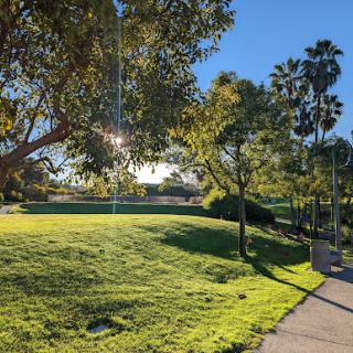 A serene park scene featuring lush greenery and a pathway under the sun.