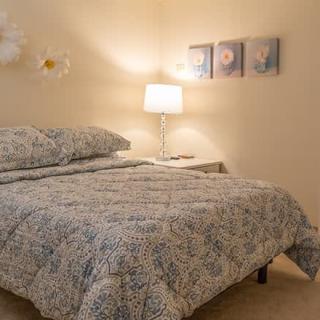 A cozy bedroom with patterned bedding, soft lighting from a table lamp, and decorative wall art.