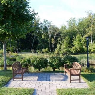 A peaceful park scene with two benches facing a lush green landscape.