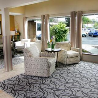 A cozy waiting area with patterned chairs and large windows allowing natural light to fill the space.