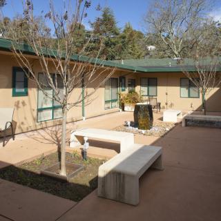A sunny courtyard with trees, benches, and a building surrounding it.