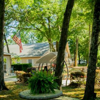 A sunny backyard with a swing, lush greenery, and an American flag in front of a house.