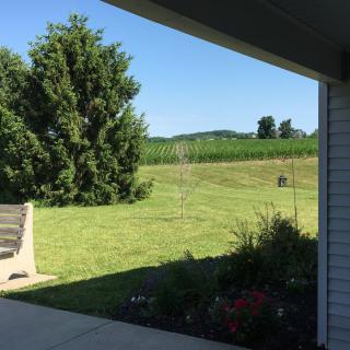 A peaceful backyard view with lush green grass and trees under a clear blue sky.