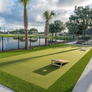 A picturesque outdoor corn hole game area surrounded by lush green grass and palm trees, with a tranquil water view.