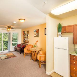 A cozy apartment interior featuring an open living room with a view of the kitchen area.