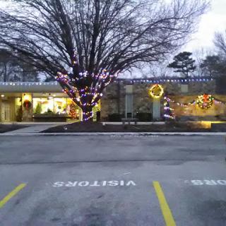 A festive scene featuring a decorated tree with lights in front of a building during the winter season.