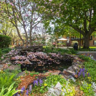 A serene garden with a pond surrounded by lush greenery and colorful flowers.