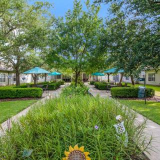 A serene garden with a pathway, benches, and lush greenery.