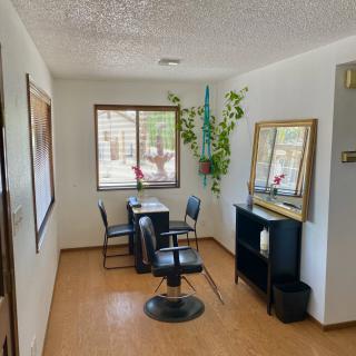 A cozy salon interior with chairs, mirrors, and plants by a window.