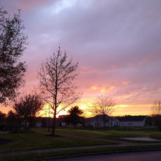 A beautiful sunset painted the sky in vibrant colors, framed by bare trees.