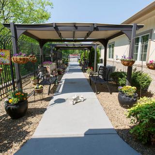 A beautiful garden pathway with seating areas under a pergola, surrounded by lush plants on a sunny day.