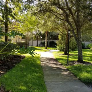 A serene pathway surrounded by lush greenery and trees.