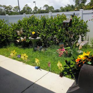 A vibrant garden with various flowers and plants, showcasing a lively outdoor space.