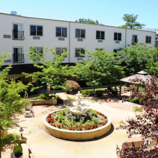 A serene courtyard featuring a central fountain surrounded by lush greenery and trees, adjacent to a multi-story building.