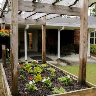 A beautifully arranged garden box under a wooden pergola, enhancing the outdoor space of a home.