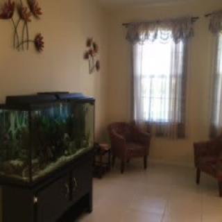 A cozy living room with an aquarium and two chairs by the window.