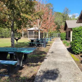 A serene park scene featuring picnic tables lined along a walkway, with trees showing autumn colors and a gazebo in the background.