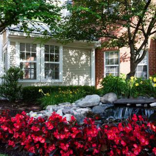 Beautiful garden with a pond and vibrant red flowers in front of a house.