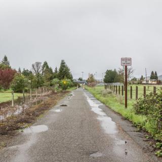 A narrow path lined with fences and trees on an overcast day, with puddles scattered across the surface.