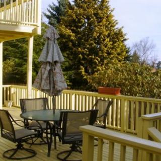 A sunny deck featuring a patio table with chairs and an umbrella, surrounded by lush trees.