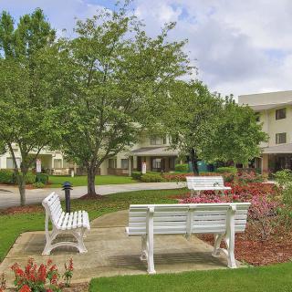 A serene outdoor area with benches surrounded by trees and greenery near a building.