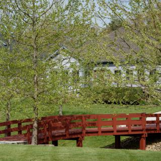 A picturesque wooden bridge in a lush, green landscape with trees and a house in the background.