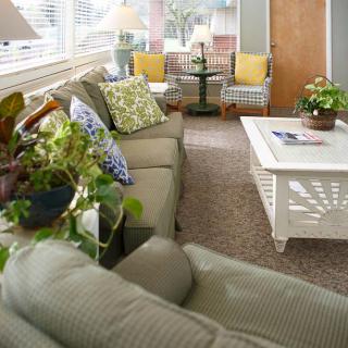 A cozy living room with a comfortable sofa, coffee table, and vibrant indoor plants.