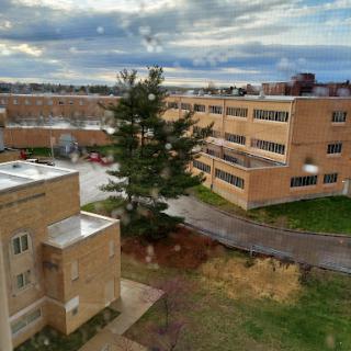 A view of a campus with buildings and a tree, under a cloudy sky.