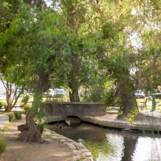 A serene park scene featuring a small stone bridge over a gentle stream surrounded by lush trees.