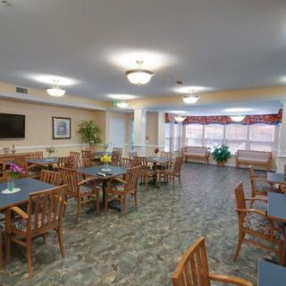 A spacious community dining area with wooden chairs and tables, decorated with plants and well-lit by ceiling lights.